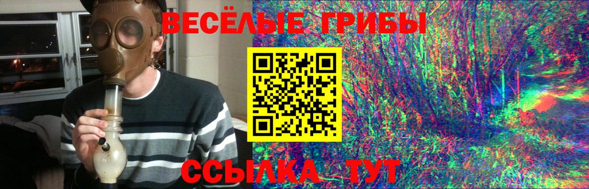 Псилоцибиновые грибы MAGIC MUSHROOMS Ахтубинск