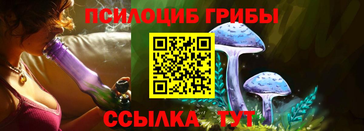 Ахтубинск  Галлюциногенные грибы Magic Shrooms  Вход с VPN 